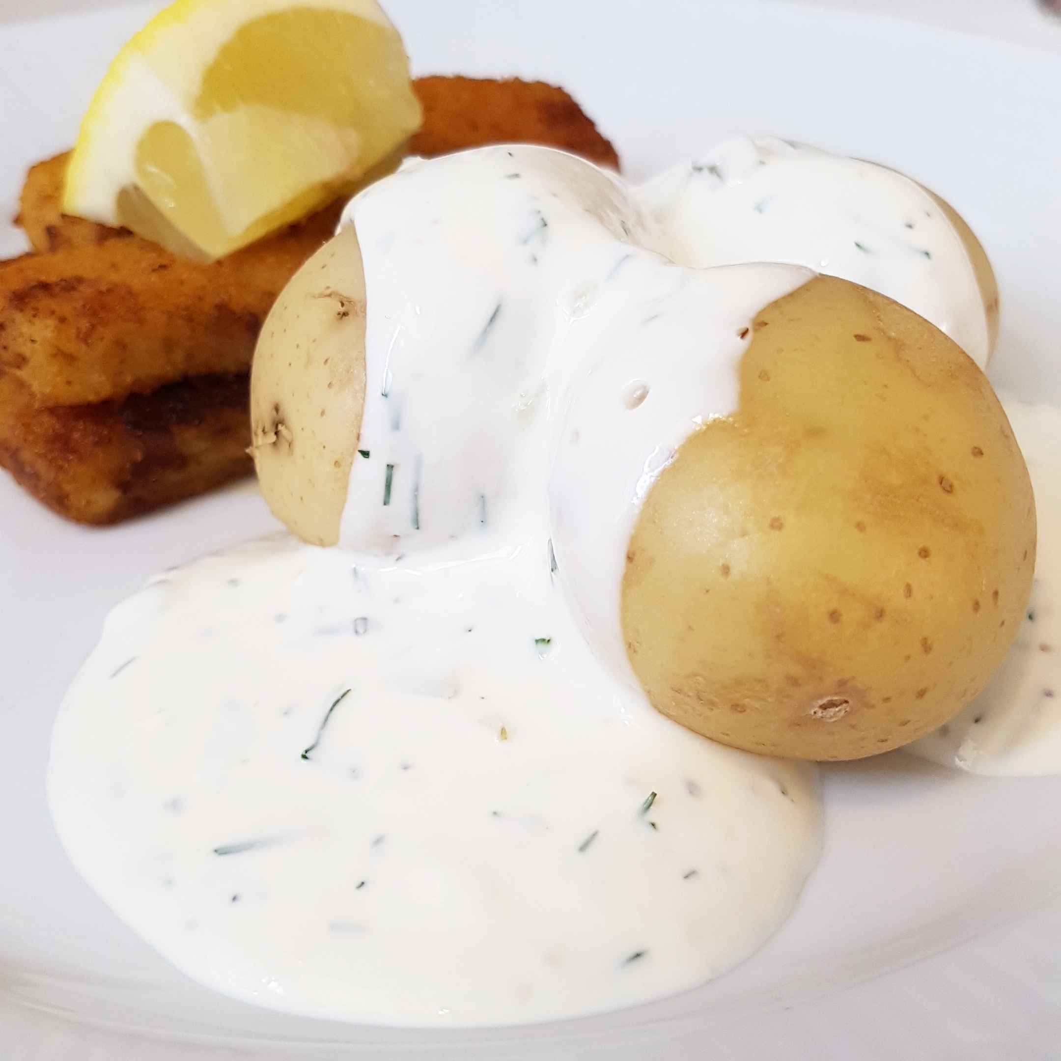 Kall Sås Till Fisk Skolan